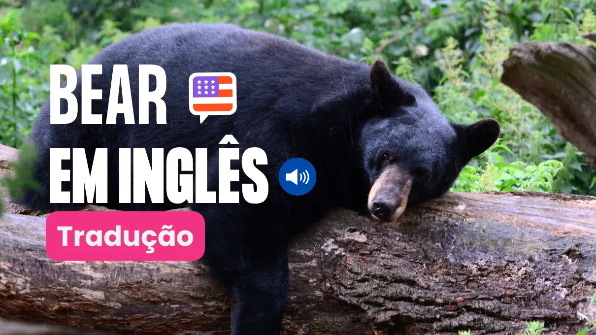 bear-em-ingles