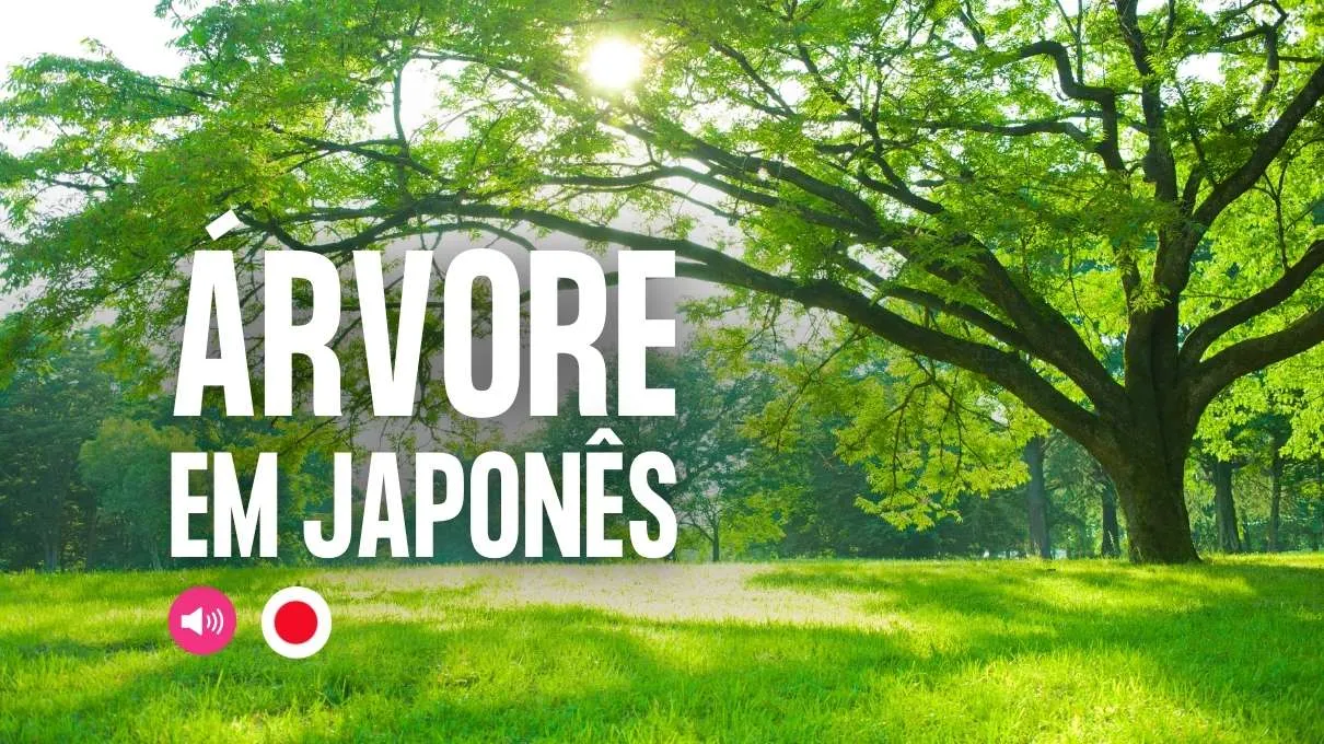árvore em japones
