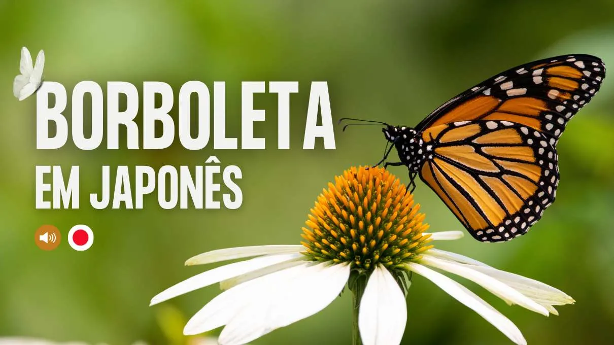 borboleta em japones