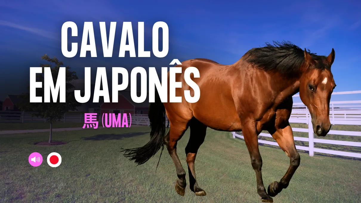 cavalo-em-japones