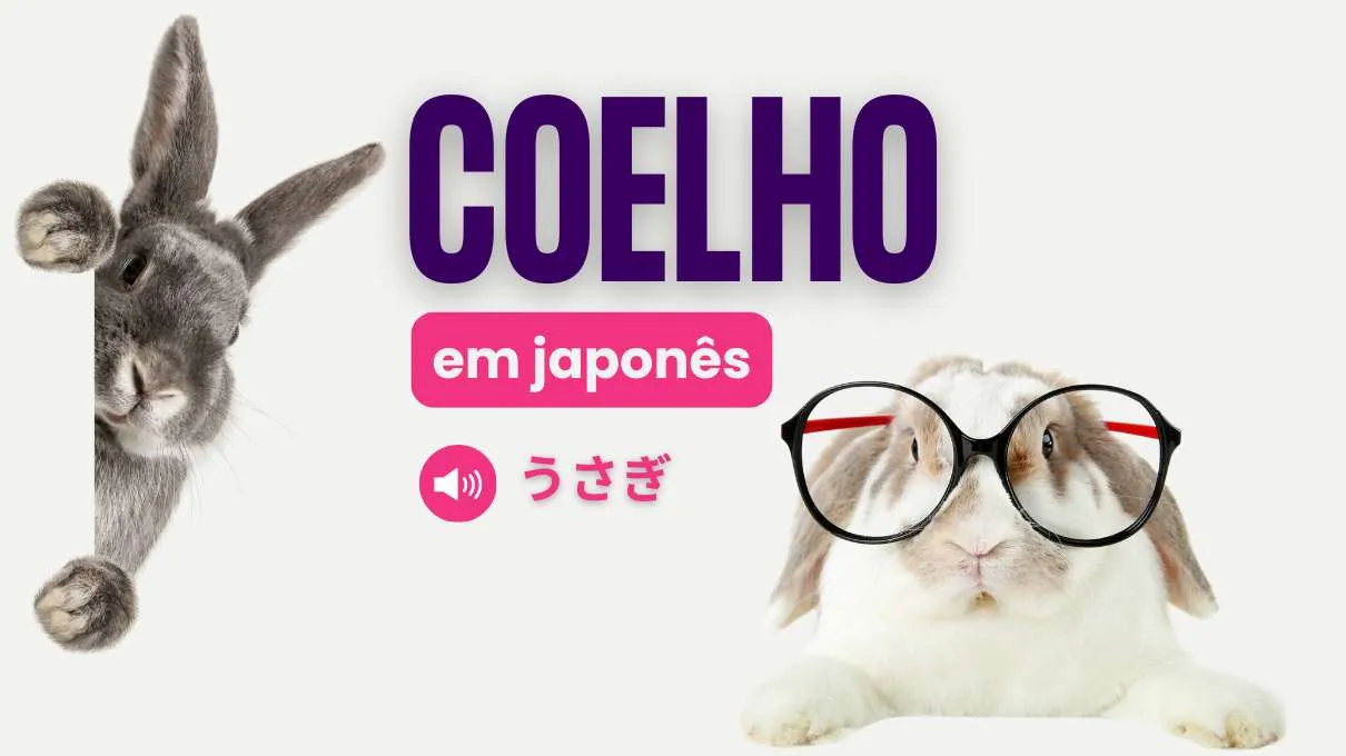 coelho em japones