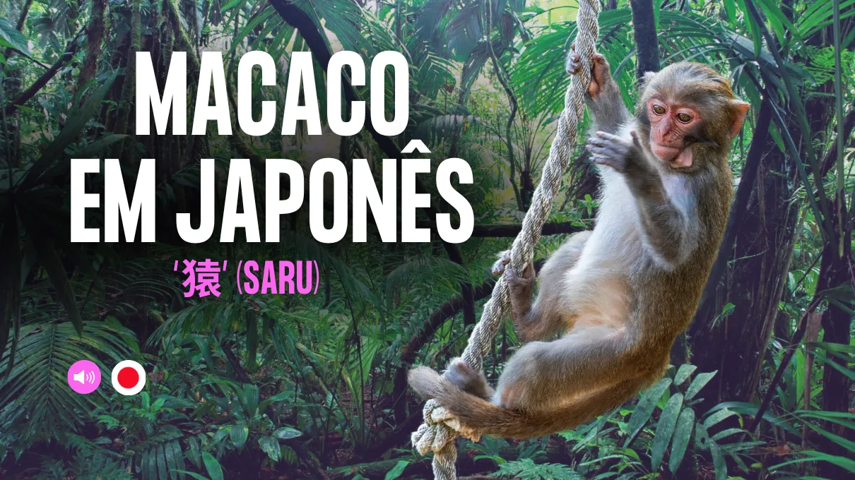 macaco-em-japones