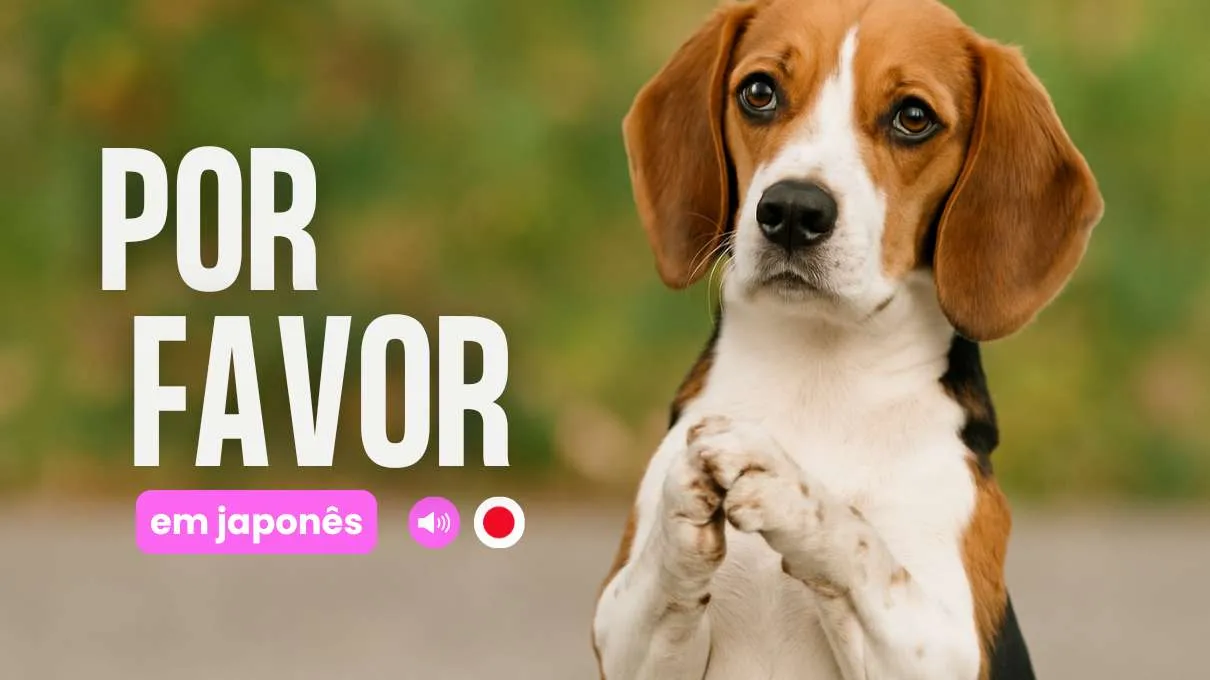 por favor em japones
