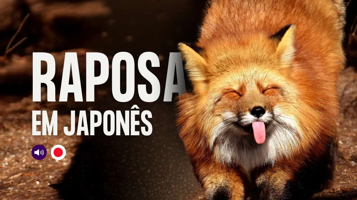 raposa em japones
