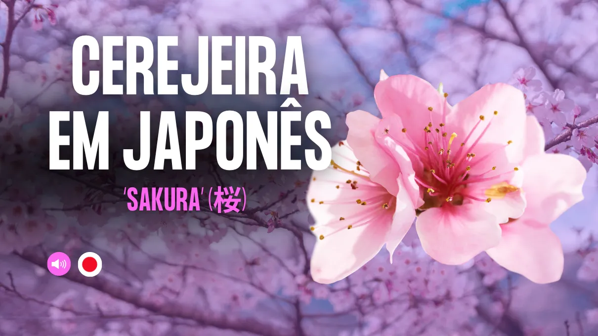 sakura-em-japones