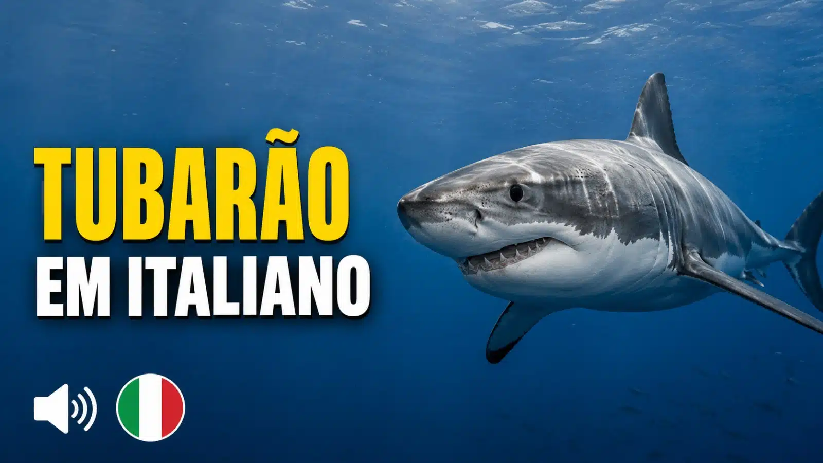 tubarao-em-italiano