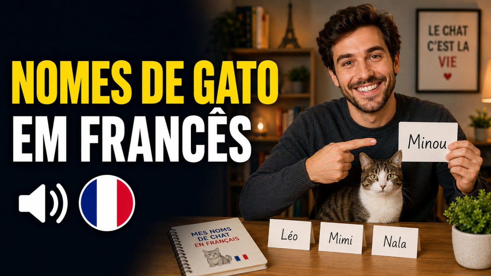 nomes-de-gatos-em-frances