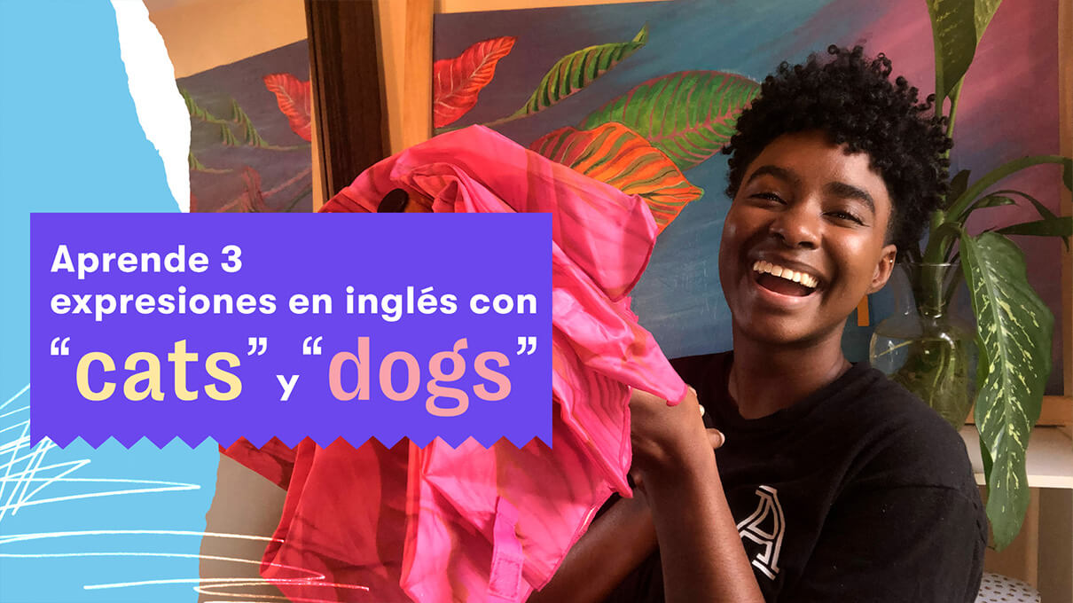 aprende 3 expresiones en ingles con cats y dogs