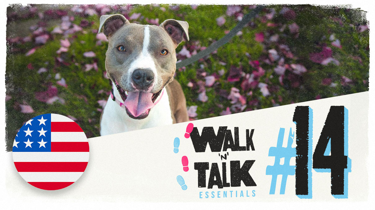 walk and talk 14 conociendo a sasha la perra