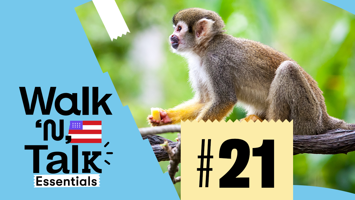 walk n talk 21 en el zoologico