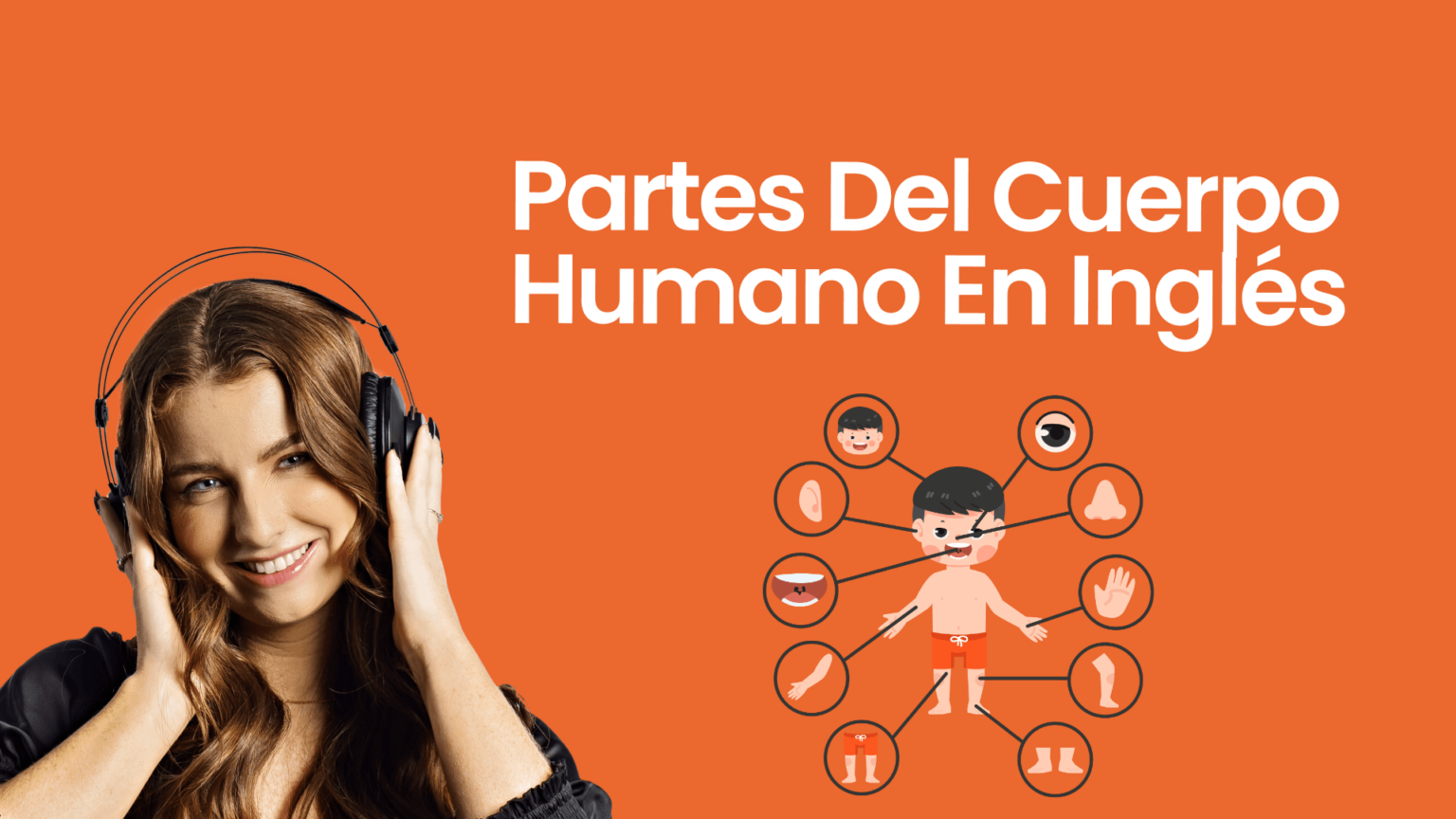 Partes del Cuerpo Humano en Inglés: Guía Completa con Ejemplos