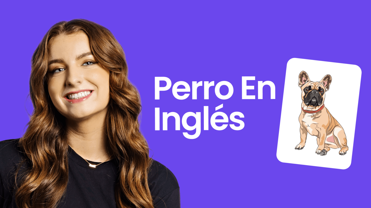 Informacion De Un Perro En Ingles fluency.io