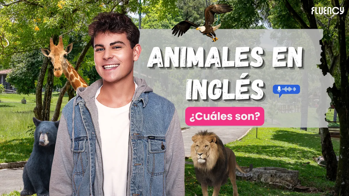 animales-en-ingles